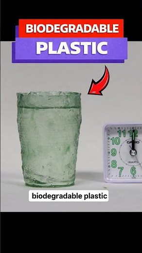 Biodegradable Plastic Made from Shells