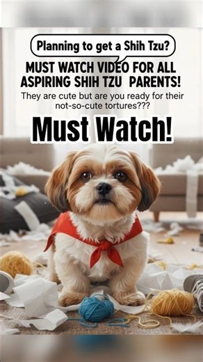 😑🙏Bas Karo Meethee🙏😑#comedy#shorts#pets#reels#2025#lol#laugh#funny#shihtzu#baby#cute#feedshorts#yt