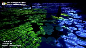 5.1K views · 248 reactions | “teamLab Borderless Shanghai” is set to open in Huangpu District, Shanghai on November 5. Advance tickets available now. A massive, complex, three-dimensional space will feature about 50 artworks, including new, never-before-seen works. Wander, Explore, and Discover in a museum without a map made of artworks without boundaries. https://borderless.teamlab.art/shanghai/ | teamLab / チームラボ | Facebook