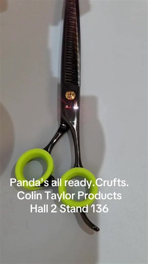 Colin Taylor aka Pooch Daddy (@colintaylorproducts)’s videos with All Eyes On This - ittibitti