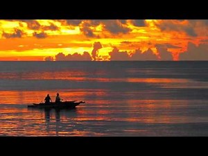 calypso suzanne vega.m4v