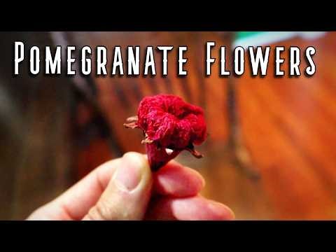 POMEGRANATES - A Fruit That is Celebrated in Turkey (and how to use the flowers)