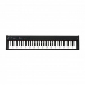 Korg D1 favorable buying at our shop | United Kingdom
