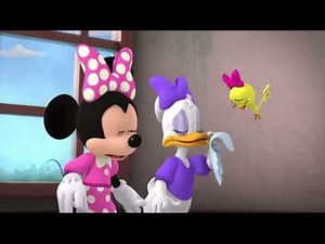 Gordon yells at Minnie, Daisy and Cuckoo Loca and makes them cry