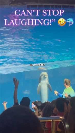 🐬🤣✨ → for funny + cute dolphin action #shorts #youtubeshorts #viral #animals