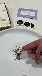 2.4K views · 111 reactions | Garden Huckleberries are a game changer...