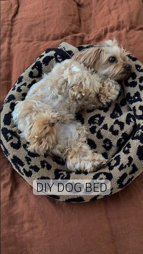 DIY dog bed tutorial from a blanket #dog #dogbed #diy #blanket #cozy #bedding