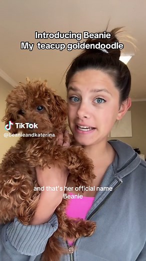 Katerina Finck on TikTok