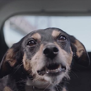 223K views · 173 reactions | The All-New Renault Megáne Sport Tourer. Dynamic environment and unforgettable drive. Experience it now. | Renault | Facebook