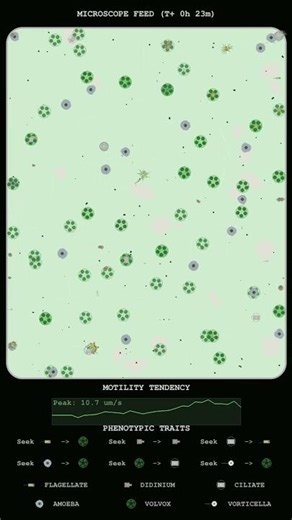 Kinetic Dynamics and Swarm Emergence in Micro-Simulations