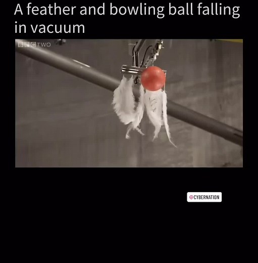 Falling Feather and Bowling Ball Experiment in Vacuum