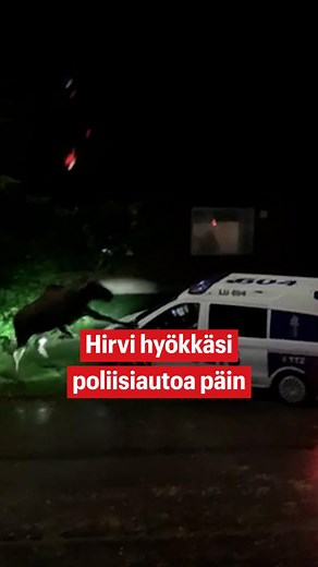 Hirvi otti matsia poliisimaijan kanssa Kantvikissa maanantaina. Taistelua seurasi IS:n lukija Lotta ikkunan läpi. Lotan mukaan poliisit yrittivät saada hirveä liikkeelle erilaisin keinoin. Poliisi käytti apunaan muun muassa äänitehosteita ja vesiletkua. Hirvi käytti puolestaan jalkojaan ja sarviaan. Välillä poliisit kipittivät turvaan autoon. Video: Lukijan video Toimittaja: Noora Knapp #uutiset #hirvi #iltasanomat #poliisi | Ilta-Sanomat
