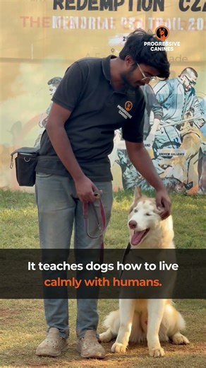 Akiras Training Transformation with us!