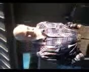 Parkinson ten years on triple drugs and failed dopamine stimulator implant