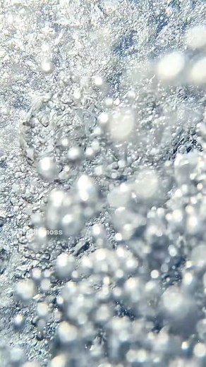 fastest fish in the sea.. #FastestFish #OceanSpeedsters #MarineLife #FishFacts #UnderwaterWorld | Brodiemoss