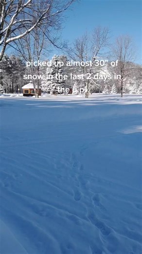 Michigan tree rider on TikTok