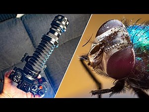 Makro-Fotografie mit dem Balgengerät