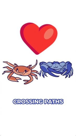 Everything IS CRAB but Nobody Notice...