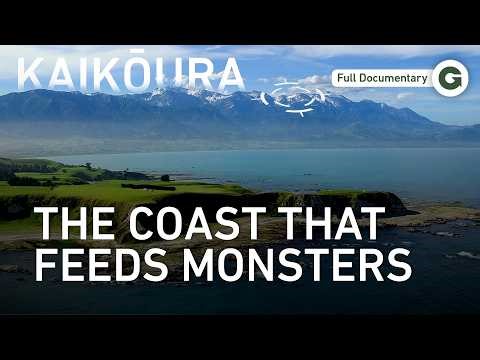 Modern Dinosaurs: Life and Death in New Zealand’s Violent Seas | Full Documentary