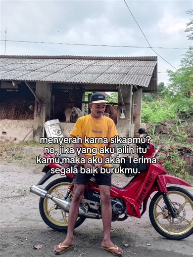 Huseini (@huseini834)’s videos with sailor song - mette