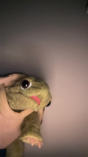 👩‍❤️‍💋‍👩🙀🥰 #funny #viral #turtle #puppet #views