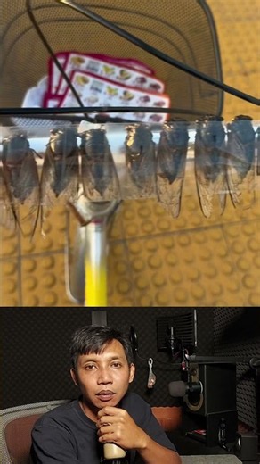 Kelakson Alam
