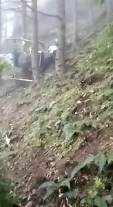3.4K views · 35 reactions | Helicopter crashes in Shiv Garh Dhar in District udhampur. | Mobile bazaar Srinagar | Facebook