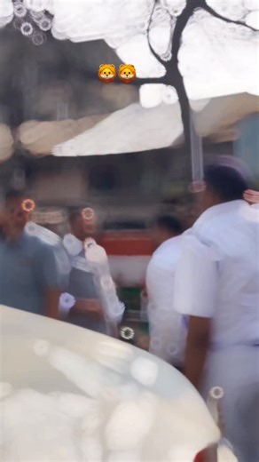 SHAHBAZ SAMIR FAN .pag💪🏻❤️‍🔥 on Instagram: "KOLKATA PORT YOUTH ICON SHAHBAZ SAMIR 🦁🦁 . . . . . . . . #reelsinstagram #highlights #reelsviral #highlight #sher"