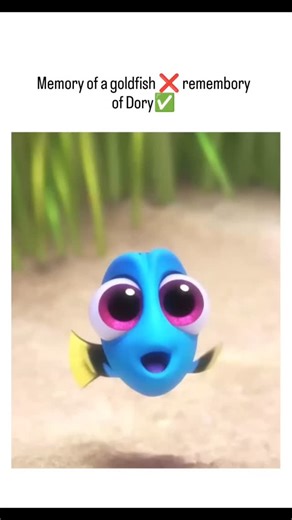 Md Ishak on Instagram: "Finding Dory (2016 Movie) 1h 37m · Animation / Adventure / Comedy / Family A heartwarming sequel to Finding Nemo, Finding Dory follows the forgetful yet lovable blue tang fish, Dory, as she embarks on an emotional journey to find her long-lost family. Along the way, she’s joined by old friends and new ones — including Hank the octopus and Destiny the whale shark. Filled with humor, color, and touching moments, this underwater adventure reminds us that no matter how far we