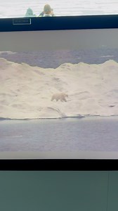 38K views · 747 reactions | Flir camera zoom test #polarbear #kylegoespina #hilightseveryonefollowers2025 #followersシ゚ #highlightsシ゚ #NatGeoResolution #foryoupage #fyp #iceberg #trending #SEAMAN #marinoph | Kyle Go Espina | Facebook