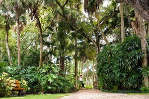 This Florida State Park Is Just Steps From The Sea With A Hidden Rose Garden And Towering Oaks