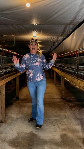 178K views · 3.5K reactions | Our breeder house is clean and sanitized! We have to get it setup then we can put our breeders in! #quail #eggs #hatching #babychicks #insta #fypシ #work #facebookpost | Quail Lady Brittany Freedom Flyers | Facebook