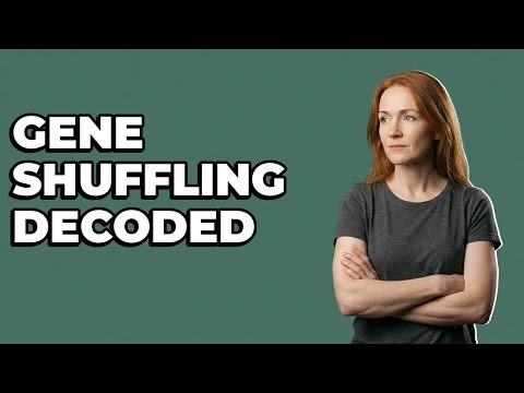 How Do Homologous Chromosomes Achieve Gene Shuffling?