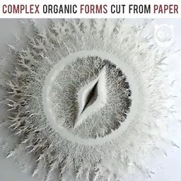 524K views · 16K reactions | Unbelievably detailed paper sculptures by Rogan Brown resemble microorganisms: Footage by Eden Project | Bored Panda Art | Facebook