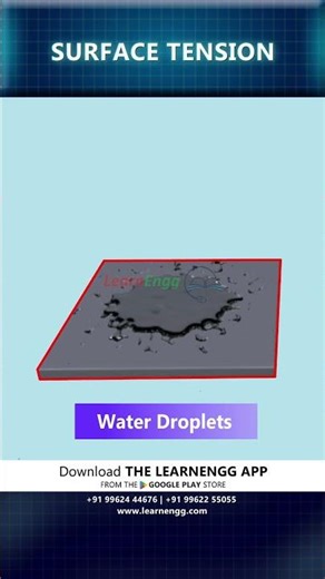 Surface Tension (Explained in 30 Seconds) 🤯 | LearnEngg #shorts
