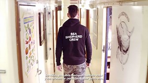 37K views · 1K reactions | Captain Paul Watson has always said that the camera is our greatest weapon. Here on Op. Milagro III, drones have proven to be one of the most valuable assets we have battling poaching in the Gulf of California. Many thanks to our donor, Clarence Stanback, whose generosity has enabled us to create a drone program at Sea Shepherd so that we can continue to defend, conserve and protect the world's Oceans. | Sea Shepherd Conservation Society | Facebook