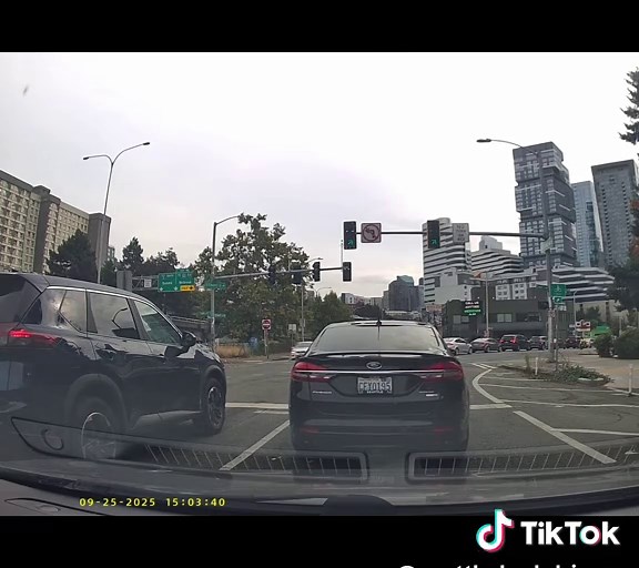 Seattle’s sleeping beauties | Seattle