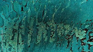 taste bud - cross section cut under the microscope – microscopic view of animal cells for education