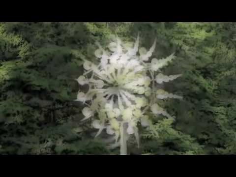 Chakra Meditations Guided by Deepak Chopra