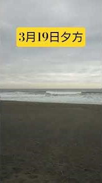 [Waves] Wave conditions at Tsujido Front #shorts #TsujidoMarboRoyal #MarboRoyal #waveinformation ...