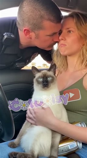Will the cat caught DUI by police? 🐱🐗❓👩 猫は飲酒運転で警察に捕まるだろうか? #officer #dui