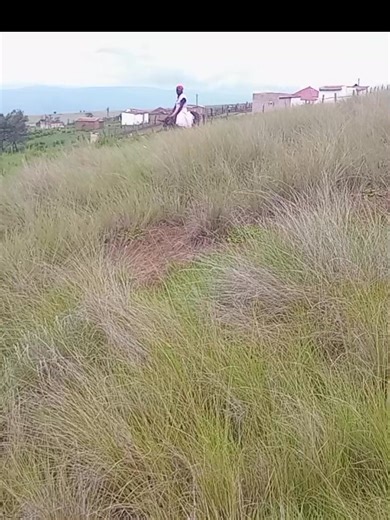 Nayoke transport esiyisebenzisa uma sishiwe yimoto ka8 Bengiya eclinic ke lana | Spongie Makotie