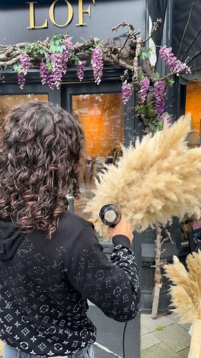 Perfect pampas xtree, we do it for years now and it all started with our first one for lofboutique #pampasgrass #pampas #eventstyling #bohochic #interiordesign #christmastree #christmasdecor #xtree #pampasxtree #pampasgrasschristmastree #art #homedecor #christmaslights #christmasiscoming | Pampaskoning