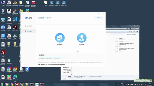 【安卓app数据备份与恢复】关于vivo互传的备份数据文件格式研究