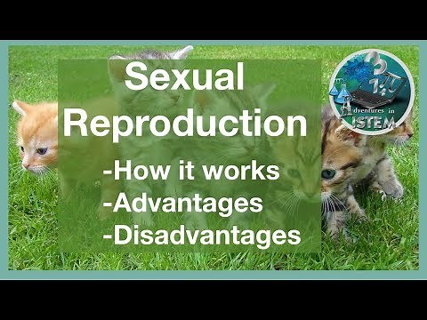 Sexual reproduction in organisms | Meiosis, Advantages, Disadvantages | Life science and genetics