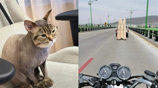 These Seemingly Random Images Will Get Your Brain Thinking