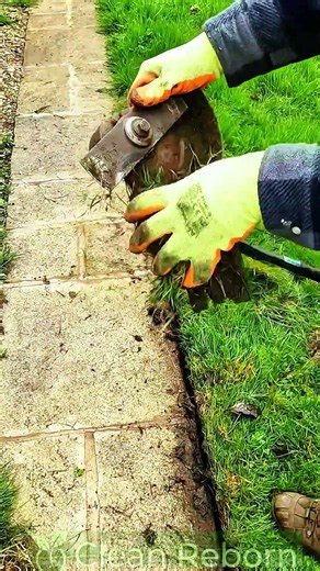 A relaxing Saturday afternoon with some light work 💪 #cleanreborn #satisfying #lawncare