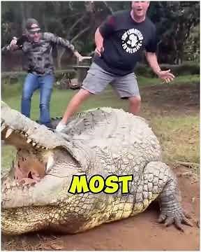 10 Animals Even Scientists Fear 😳🐾 This Gets Dark 🔥