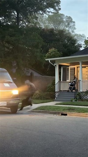Cane corso saves the baby.