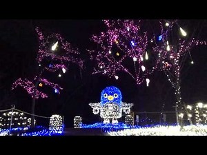 うなりくんイルミネーション IN 成田さくらの山３rd